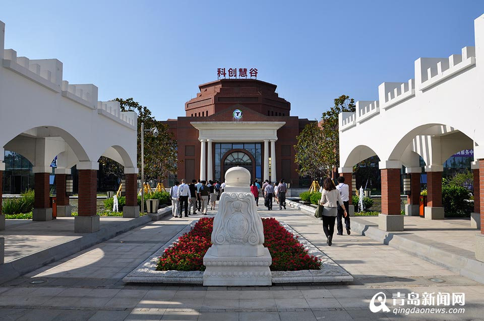 互联网时代软件专业园区与运营论坛举行