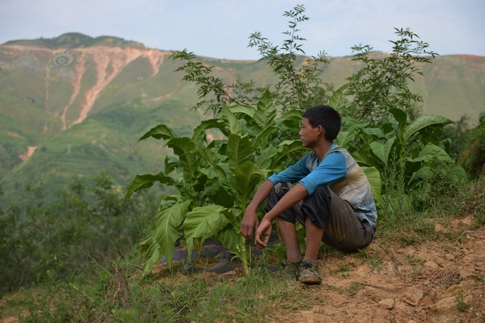 云南地震银厂坡尚无救援 村民堆SOS求救