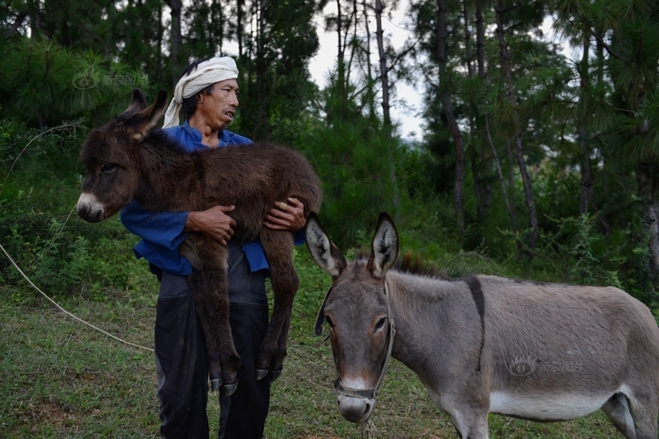 云南地震银厂坡尚无救援 村民堆SOS求救