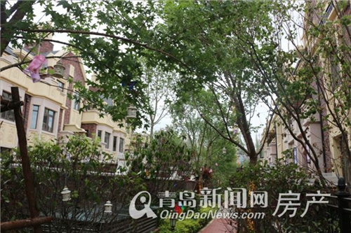 金秋泰和郡,惜夏,城阳,别墅,英伦,青岛新闻网