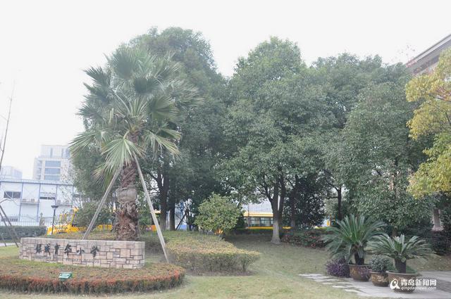 独家：本网杭州专访宋卫平 全力以赴重回绿城