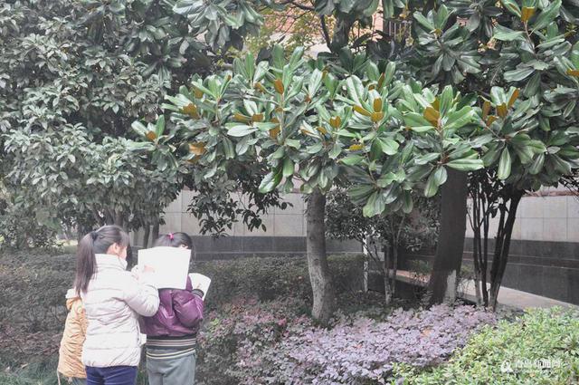 独家：本网杭州专访宋卫平 全力以赴重回绿城