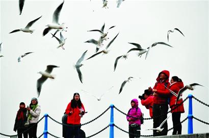 今日气温下降8℃注意防寒 多个区市将飘雪