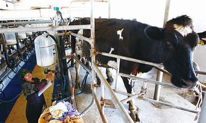 村官为呼吁设基金发补贴 村官为呼吁设基金发补贴