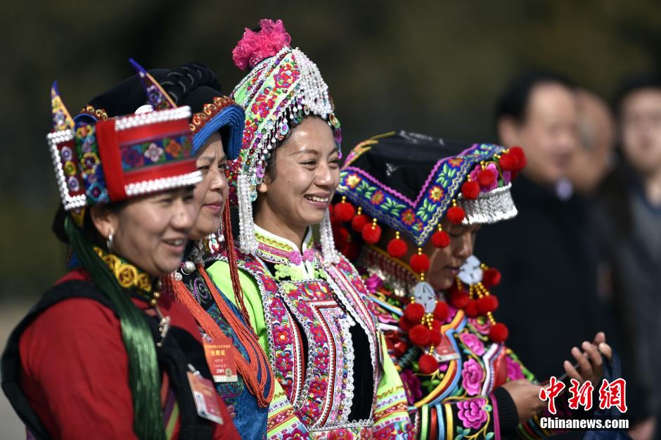 十二届全国人大三次会议举行预备会议