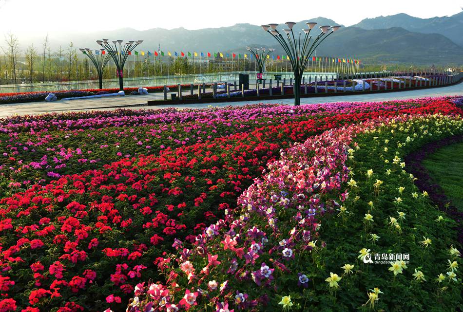 青岛世园会在法国巴黎获得赞誉