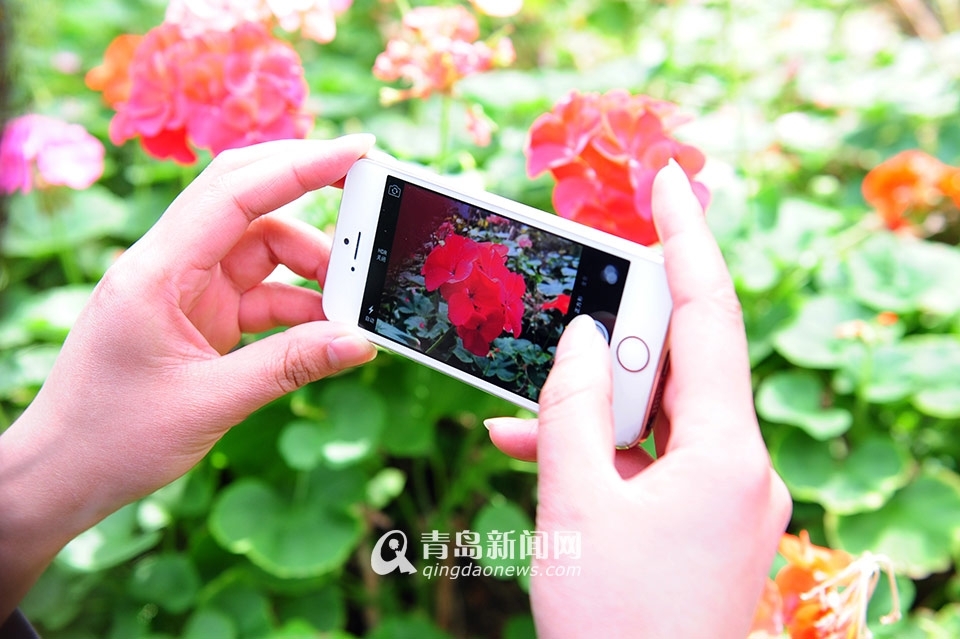 世博园3月28日开门纳客 植物馆新装亮相