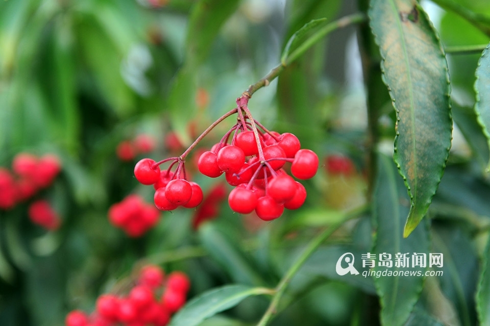 世博园3月28日开门纳客 植物馆新装亮相