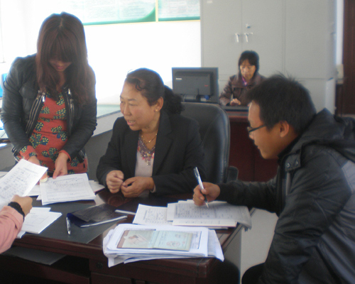 创造奇迹的女支书——记北镇市正安镇正二村党支部书记王桂兰