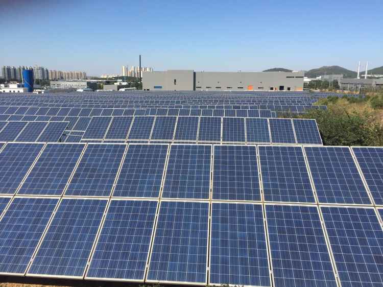 种下阳光收获能量 力诺开辟光伏应用新时代