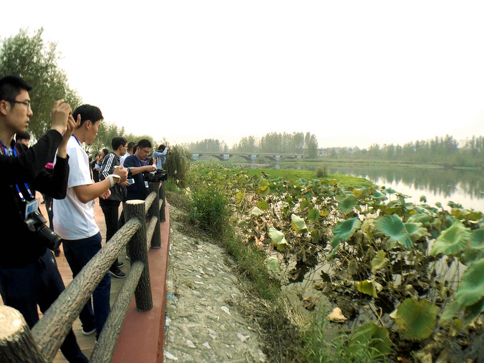 吞进污水吐出清泉 武河湿地为临沂“净水”再添猛将