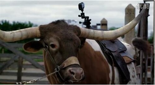热火背后的运动摄像机品牌 你从未见过