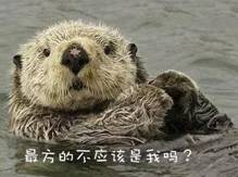 青岛新闻客户端集开机画面赢大奖 青岛新闻客户端集开机画面赢大奖