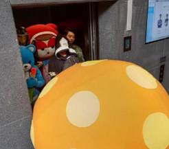 QQ截图20151202161356