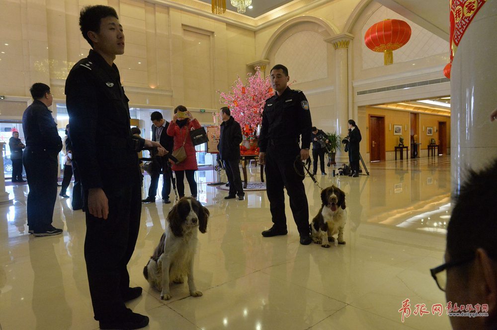 市政协会议现场抢先看 搜爆犬也来啦