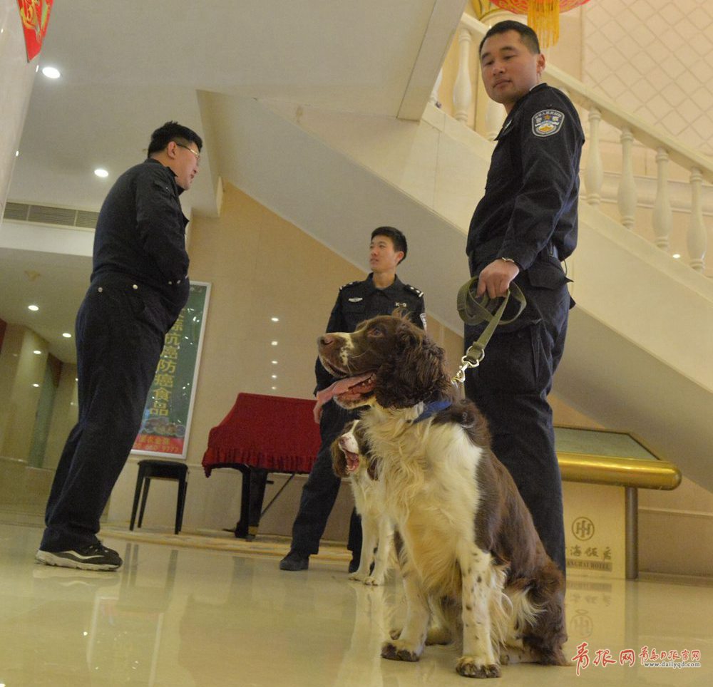 市政协会议现场抢先看 搜爆犬也来啦