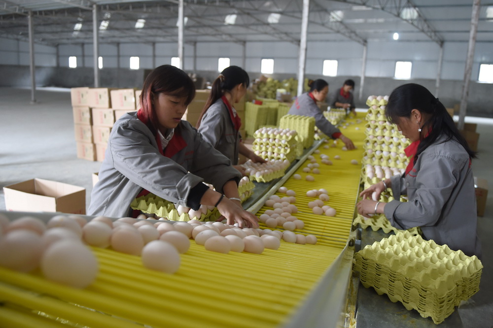 两会时间看“中国决心” 两会时间看“中国决心”