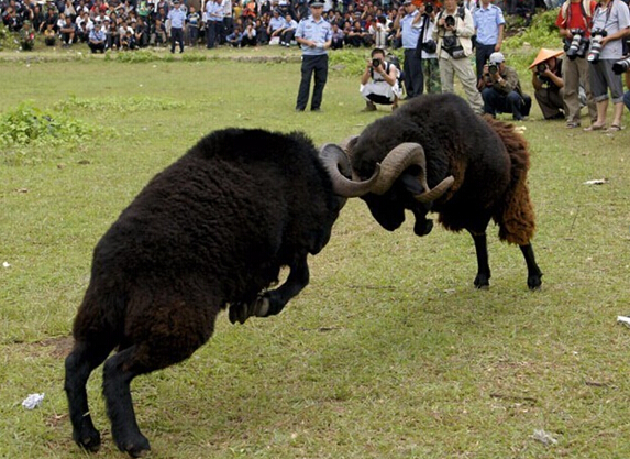 蒙山请你喝羊汤 和斯琴格日乐共唱《沂蒙山小调》