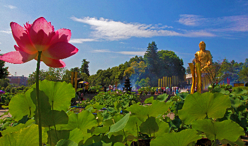 礼佛、娱乐两不误 重庆华岩旅游风景区打造“佛教+现代时尚”景观公园