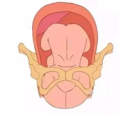 C:\Users\Lenovo\AppData\Local\Temp\WeChat Files\437482416677856320.jpg