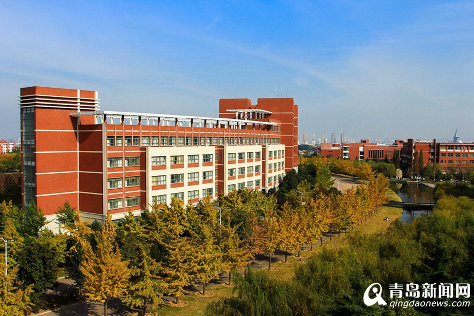 高清：山科大校园美美哒 杏叶金黄枫叶正红