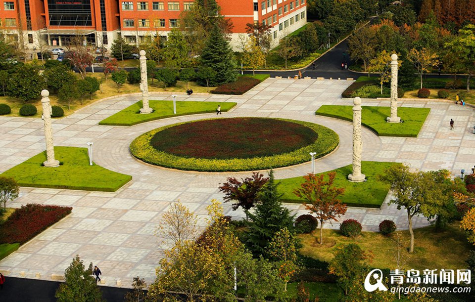 高清：山科大校园美美哒 杏叶金黄枫叶正红