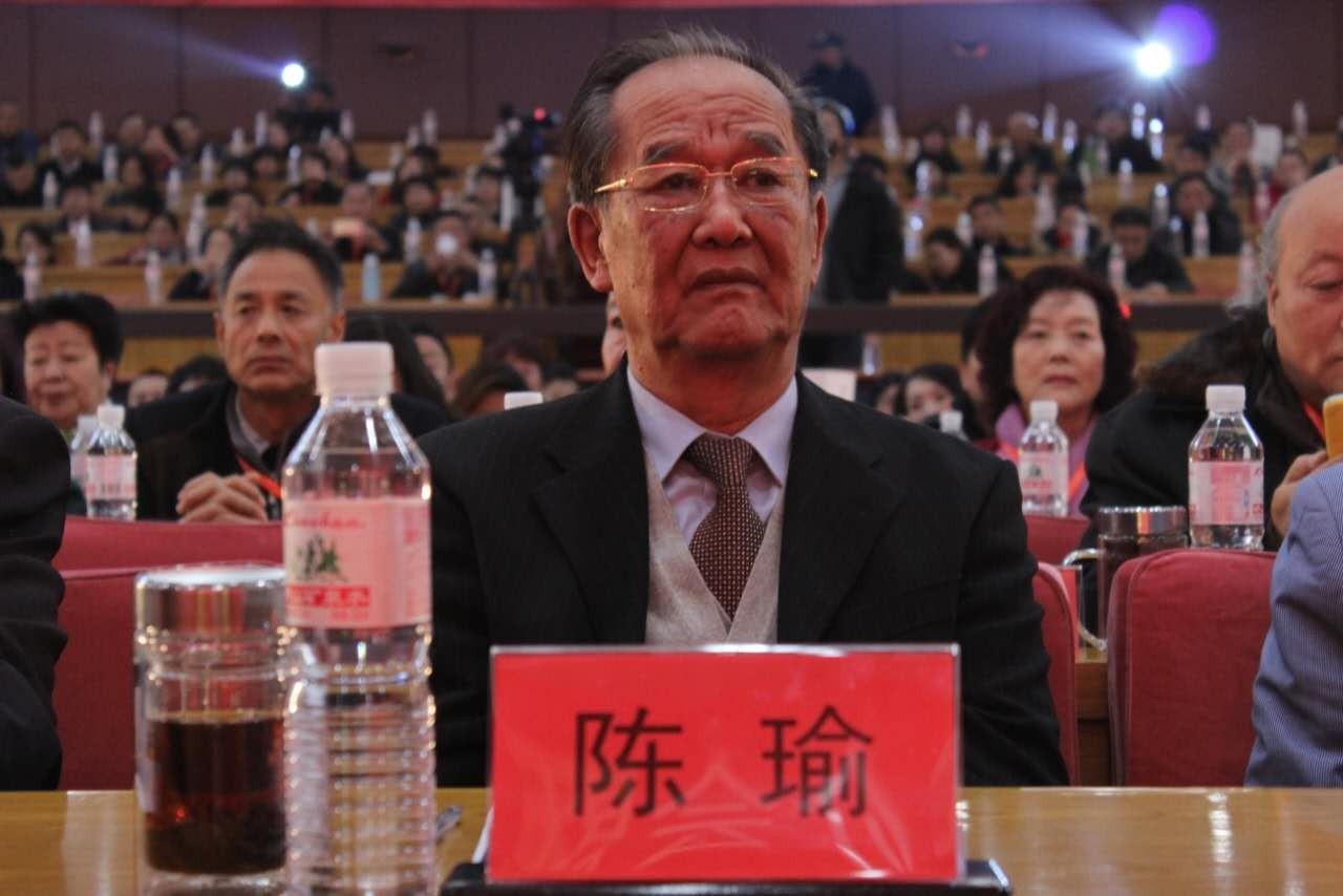 世界新经济研究院院长陈瑜教授
