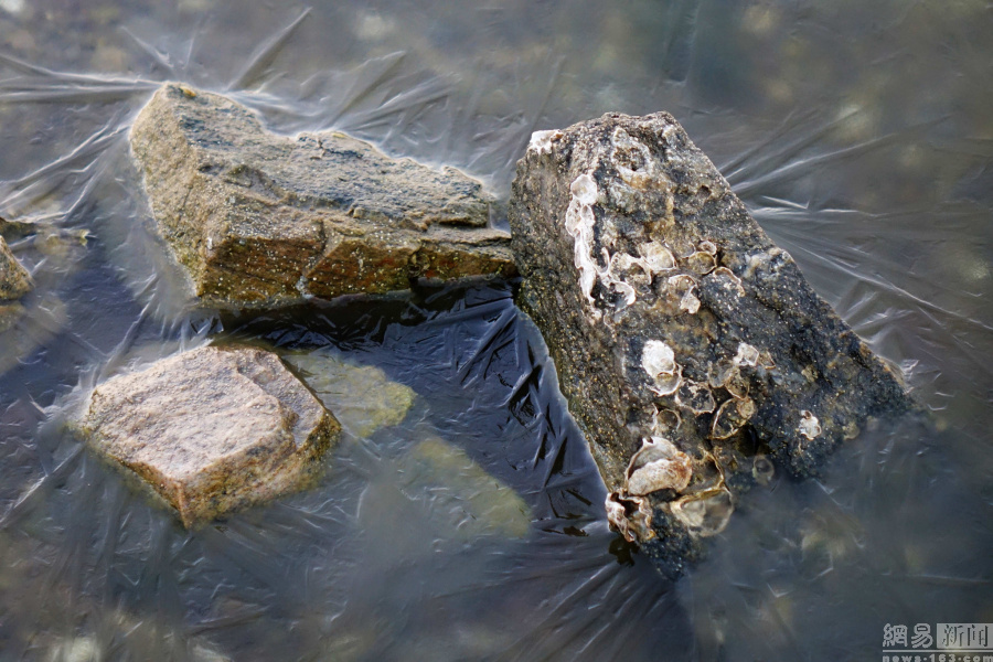 青岛最低气温-5℃ 局部海岸出现结冰现象
