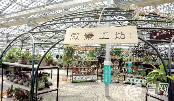 东西扶贫开创'青岛模式' 获习总书记点赞(图)