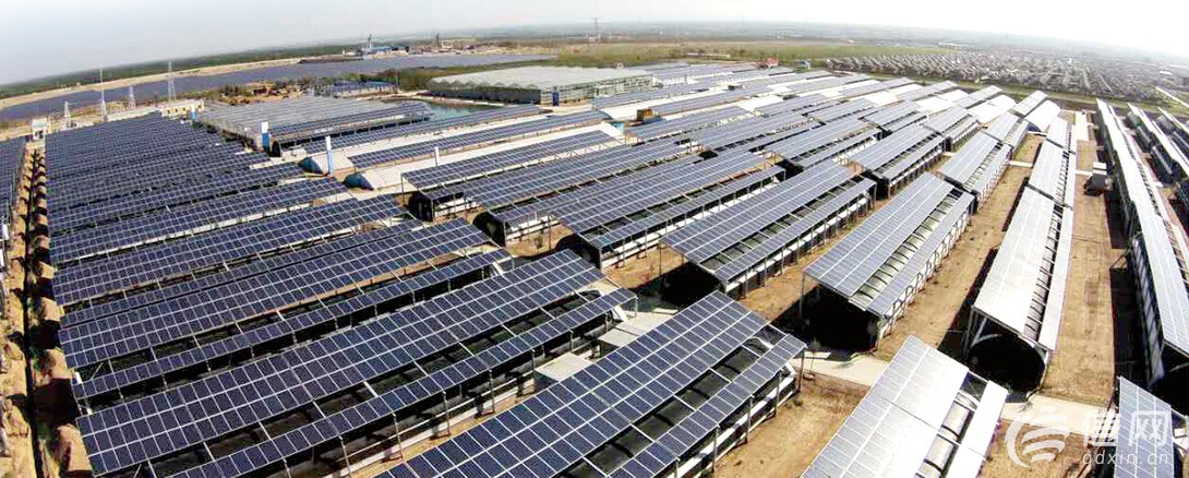 东西扶贫开创'青岛模式' 获习总书记点赞(图)