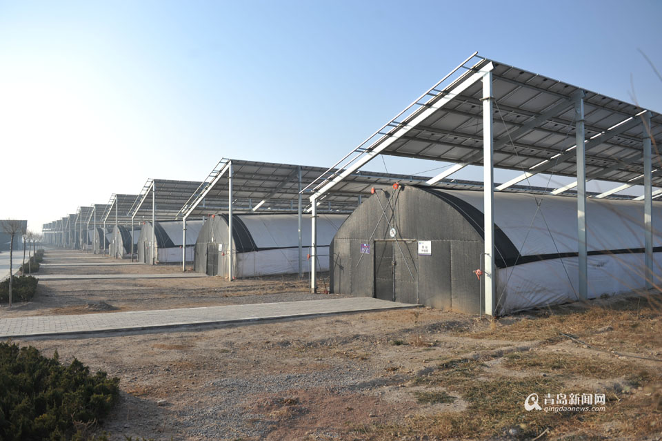 青岛扶贫故事:我和县领导互拍桌子成知交 青岛扶贫故事:我和县领导互拍桌子成知交