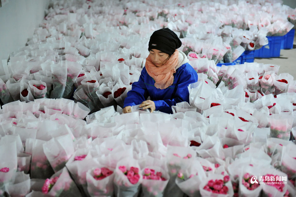 种大棚年入四五万 外出打工村民踏上回乡路 种大棚年入四五万 外出打工村民踏上回乡路