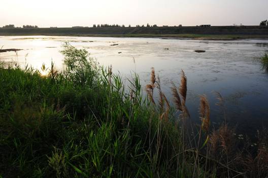 E:\软文\ss512\14.jpg14