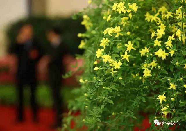 记者镜头下的政协开幕会精彩瞬间