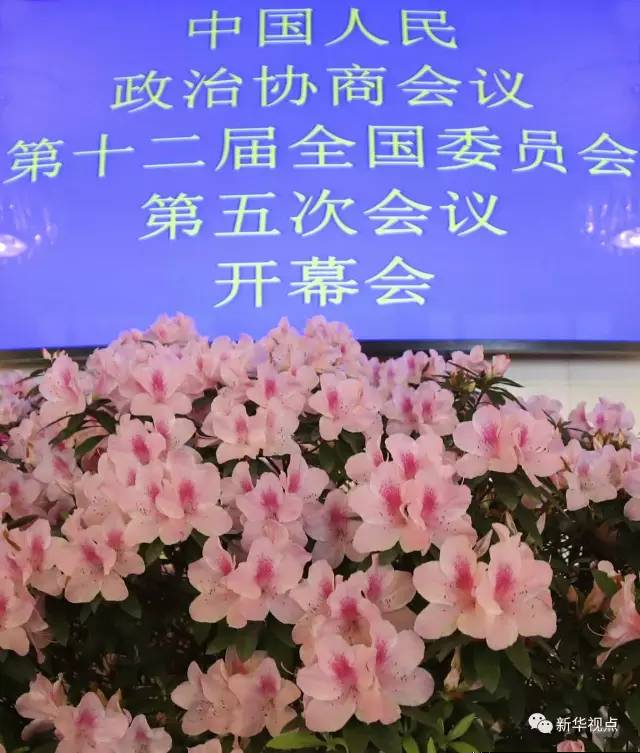 记者镜头下的政协开幕会精彩瞬间