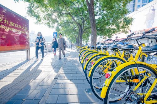《3.16共享单车》