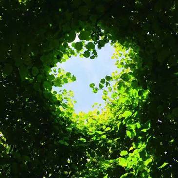 C:\Documents and Settings\Administrator\桌面\辛总儿子稿件\摄影照片素材\24076804953554287.jpg