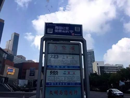 青岛停车、结婚、培训、领养宠物…全部免!费