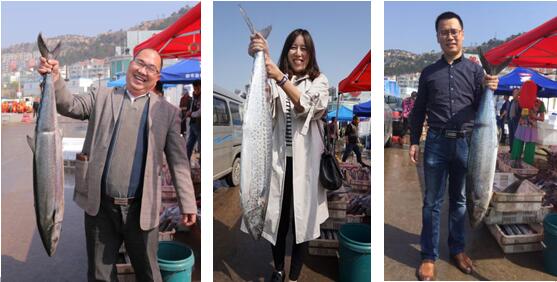 今年的沙子口鲜鲅鱼仅售15天 尽孝要趁早！