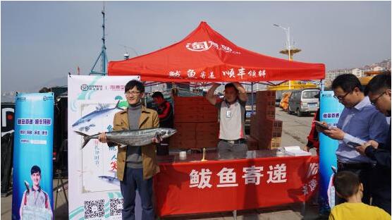 今年的沙子口鲜鲅鱼仅售15天 尽孝要趁早！