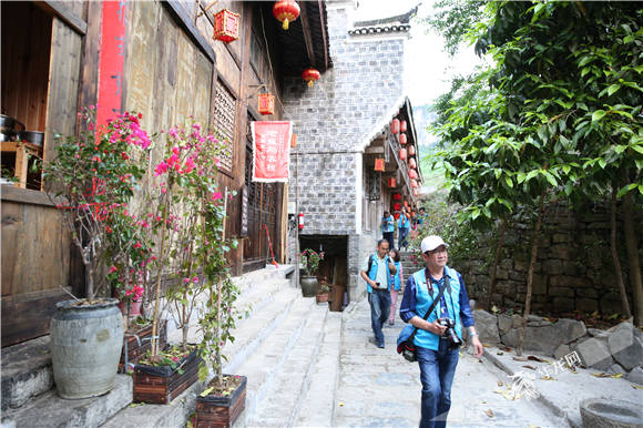 古镇居民房前屋后随处可见三角梅 记者刘嵩摄.jpg