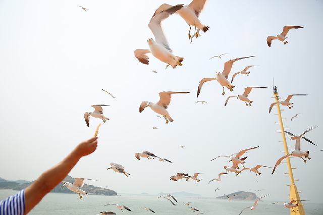 海上寻仙逍遥游 “高端巡航”新时代已到来 海上寻仙逍遥游 “高端巡航”新时代已到来