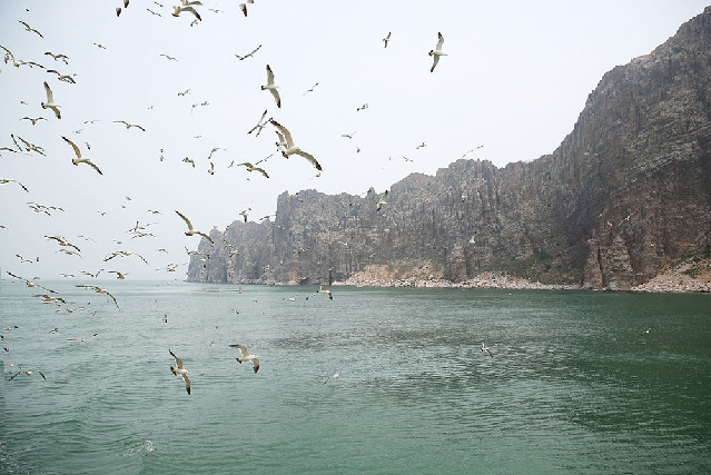 海上寻仙逍遥游 “高端巡航”新时代已到来 海上寻仙逍遥游 “高端巡航”新时代已到来