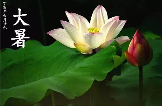 8级大风+雷雨+37℃高温!周末青岛这是要“下开水”的节奏吗? 8级大风+雷雨+37℃高温!周末青岛这是要“下开水”的节奏吗?