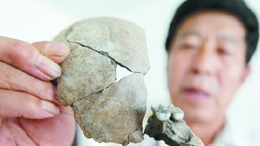 大雨冲出骨化石 青岛万年前有人类居住或再添力证