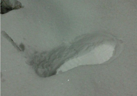 北京发罕见暴雪蓝色预警 40小时雨雪降水超历史