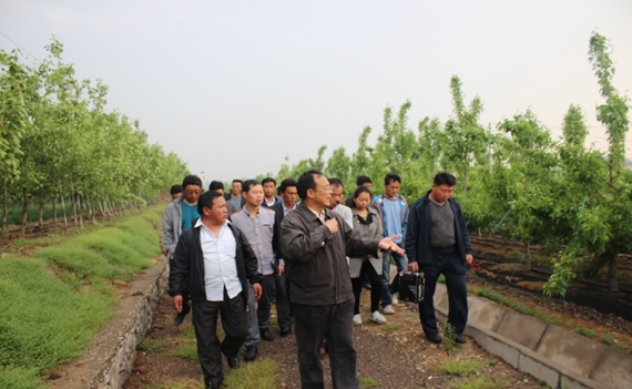 山东智力援藏及时雨 日喀则乡镇干部大提升