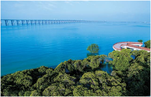 宝安面向全国公开选调64名公务员 要求本科以上学历