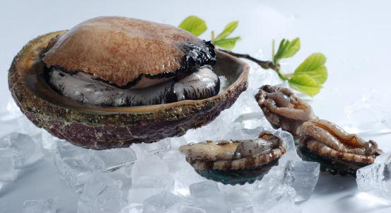 雍容荟澳洲鲍鱼 雍容荟澳洲鲍鱼