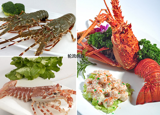 雍容荟龙虾 雍容荟龙虾